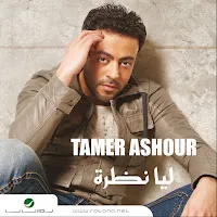 Tamer Ashour